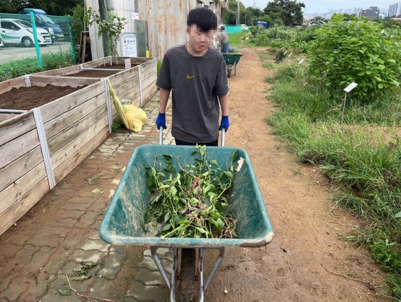 텃밭6.png
